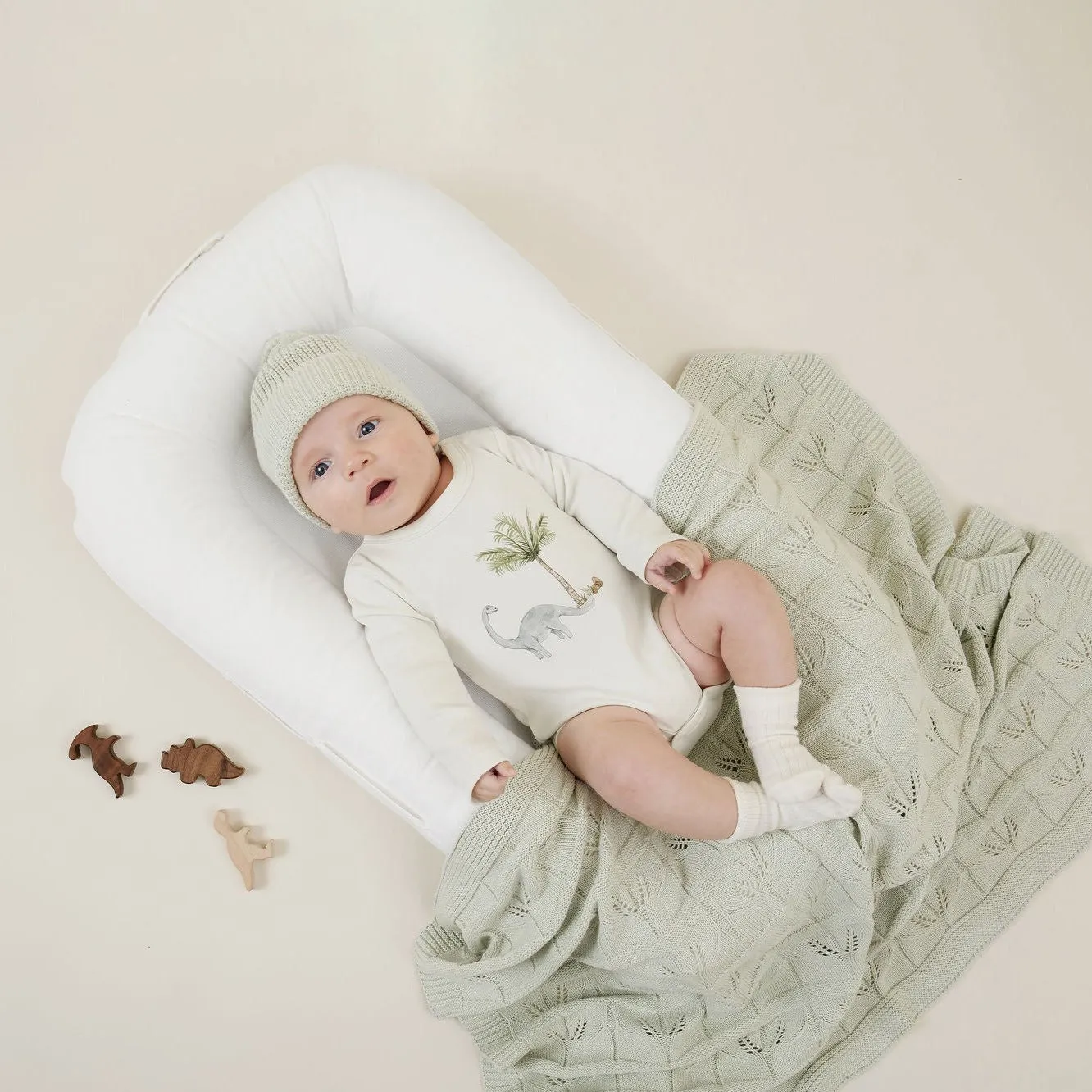 Aster and Oak Dinosaur Print Onesie