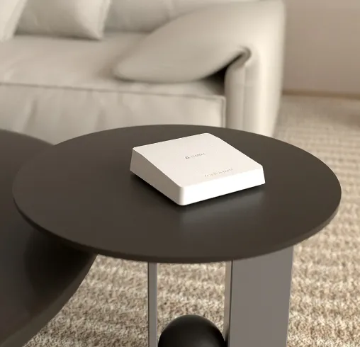Zemismart Matter Zigbee Thread Smart Home Hub